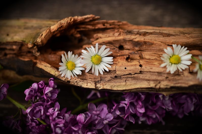 Wood decor